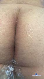 bearcitos cam4 livecam show performer room profile