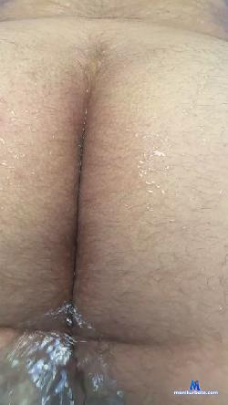 bearcitos cam4 live cam performer profile