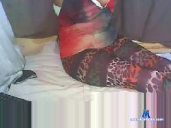 Griis cam4 live cam performer profile