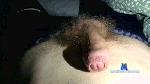 Khgayjk cam4 livecam show performer room profile