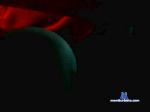 zorgu cam4 livecam show performer room profile