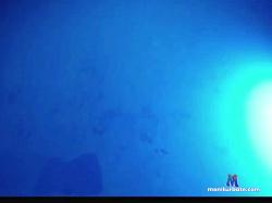 Jazmine_Pricess cam4 live cam performer profile