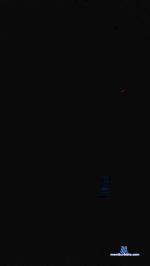 Alan23cm cam4 livecam show performer room profile
