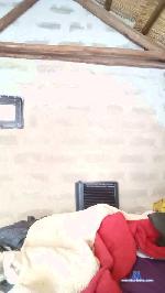 sexynestor cam4 livecam show performer room profile