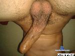 orlandojmm cam4 livecam show performer room profile