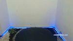 sexcrew_mike1 cam4 livecam show performer room profile