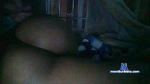 frankcelispast2 cam4 livecam show performer room profile