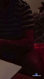 netterpeter cam4 livecam show performer room profile