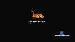Japatatuada cam4 livecam show performer room profile