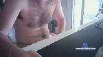 Ivich19 cam4 livecam show performer room profile