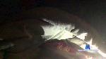 madmax0751 cam4 livecam show performer room profile