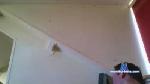 gertje3 cam4 livecam show performer room profile