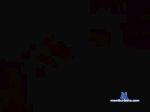 Joveneschile cam4 livecam show performer room profile