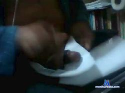 fran333 cam4 live cam performer profile