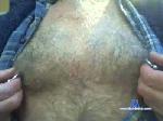 Bearwolfgrr cam4 livecam show performer room profile