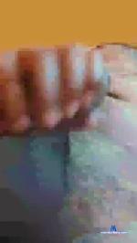Roymari cam4 livecam show performer room profile