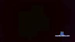 XxTacioxX cam4 livecam show performer room profile