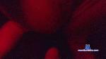 Pub69secret cam4 livecam show performer room profile