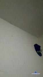 Tulond178 cam4 livecam show performer room profile