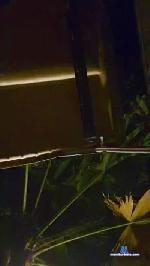 Simonaarhus1 cam4 livecam show performer room profile