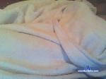 lexianderson cam4 livecam show performer room profile