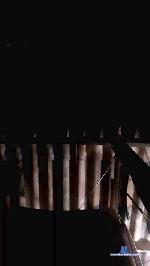 Trezecore cam4 livecam show performer room profile