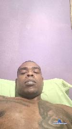 Negaopi cam4 livecam show performer room profile