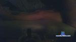 gegincubus cam4 livecam show performer room profile