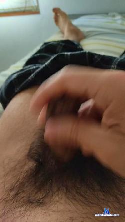 phelines cam4 live cam performer profile
