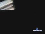 topepe35 cam4 livecam show performer room profile