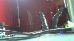 domino344 cam4 livecam show performer room profile