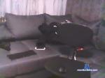 Adambigcok cam4 livecam show performer room profile