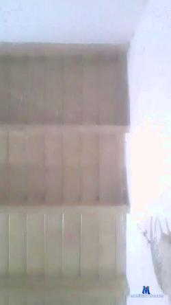 jorgedaniel cam4 live cam performer profile