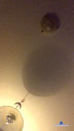 Vixon613 cam4 livecam show performer room profile