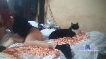 fredy4fun1 cam4 livecam show performer room profile