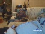 D7xxt cam4 livecam show performer room profile