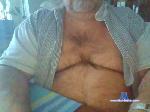BurlyFurBear cam4 livecam show performer room profile