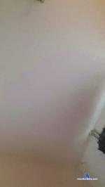 paultje82 cam4 livecam show performer room profile