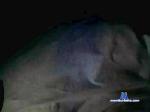 stupid_anal cam4 livecam show performer room profile