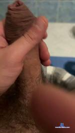 Bullnapol cam4 livecam show performer room profile