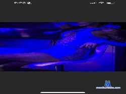 Anita_Dickinme cam4 live cam performer profile
