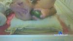 moggyto cam4 livecam show performer room profile