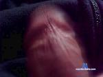 scapocchio cam4 livecam show performer room profile