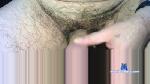 fasko4 cam4 livecam show performer room profile
