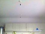 CbesLaCalandria cam4 livecam show performer room profile