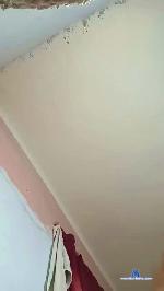 Oneballx cam4 livecam show performer room profile