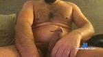 Felipessilva cam4 livecam show performer room profile
