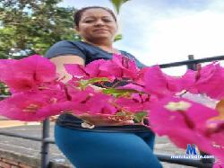 Swarovski_Fulop cam4 live cam performer profile
