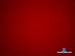 whiteangel cam4 live cam performer profile