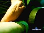 vecchio488 cam4 livecam show performer room profile